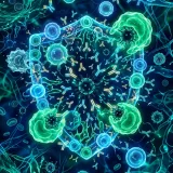Immune Health